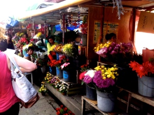 Random photo, but my favorite spot in the market :)